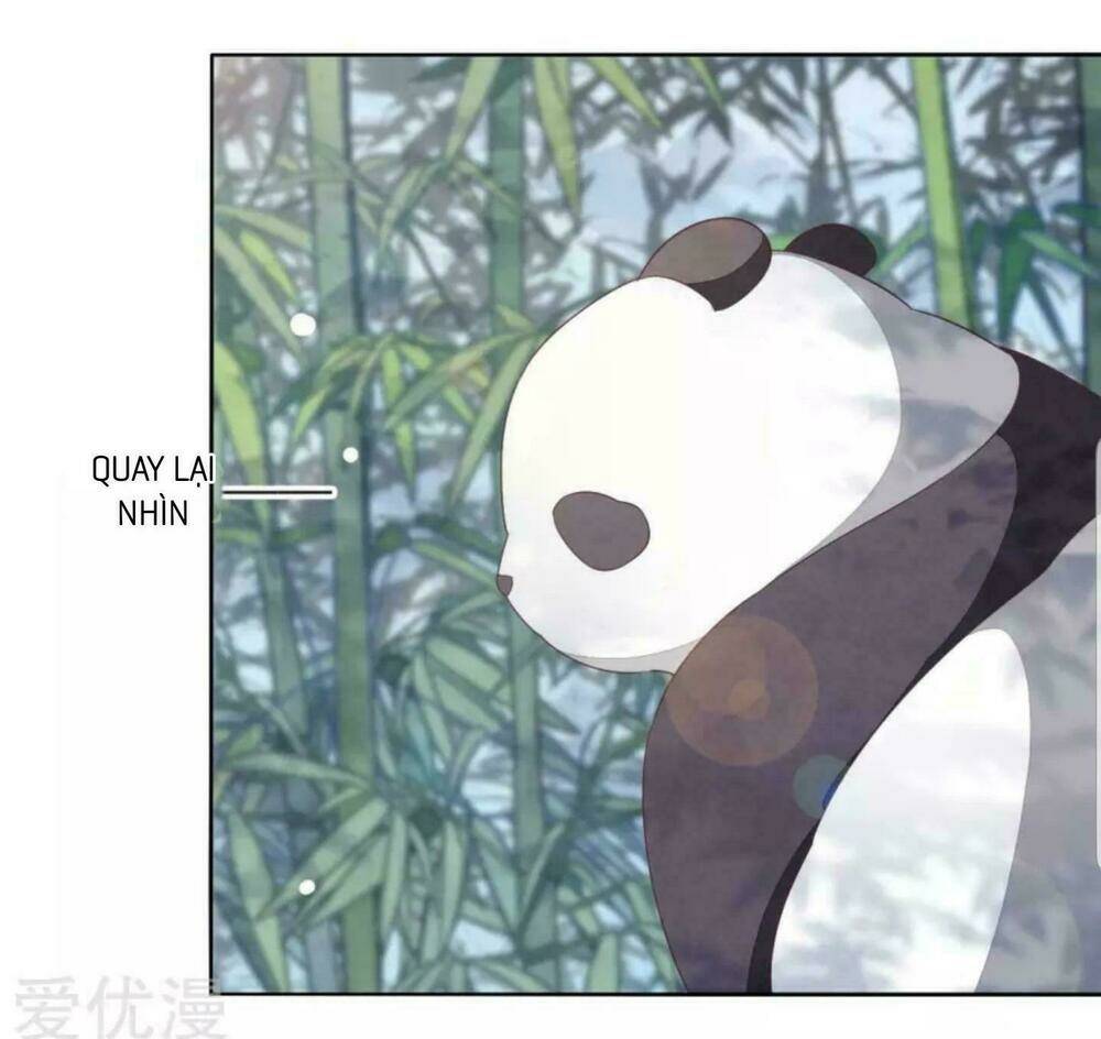 Xuyên Về Cổ Đại Làm Quốc Bảo: Chapter 6