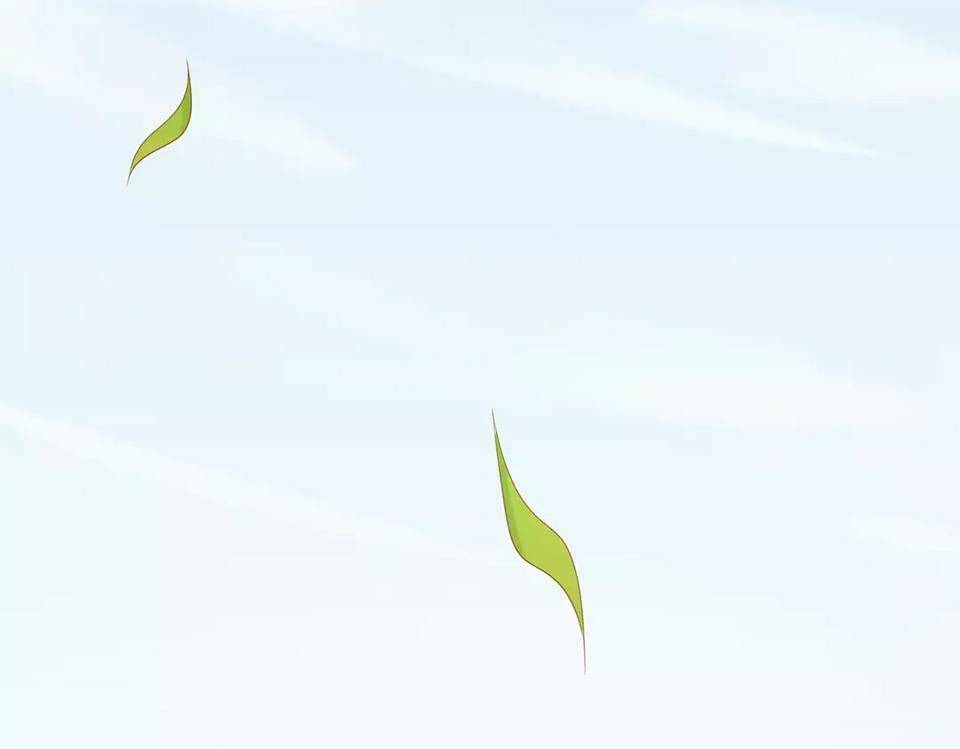 Điệp Hóa: Chapter 2.5