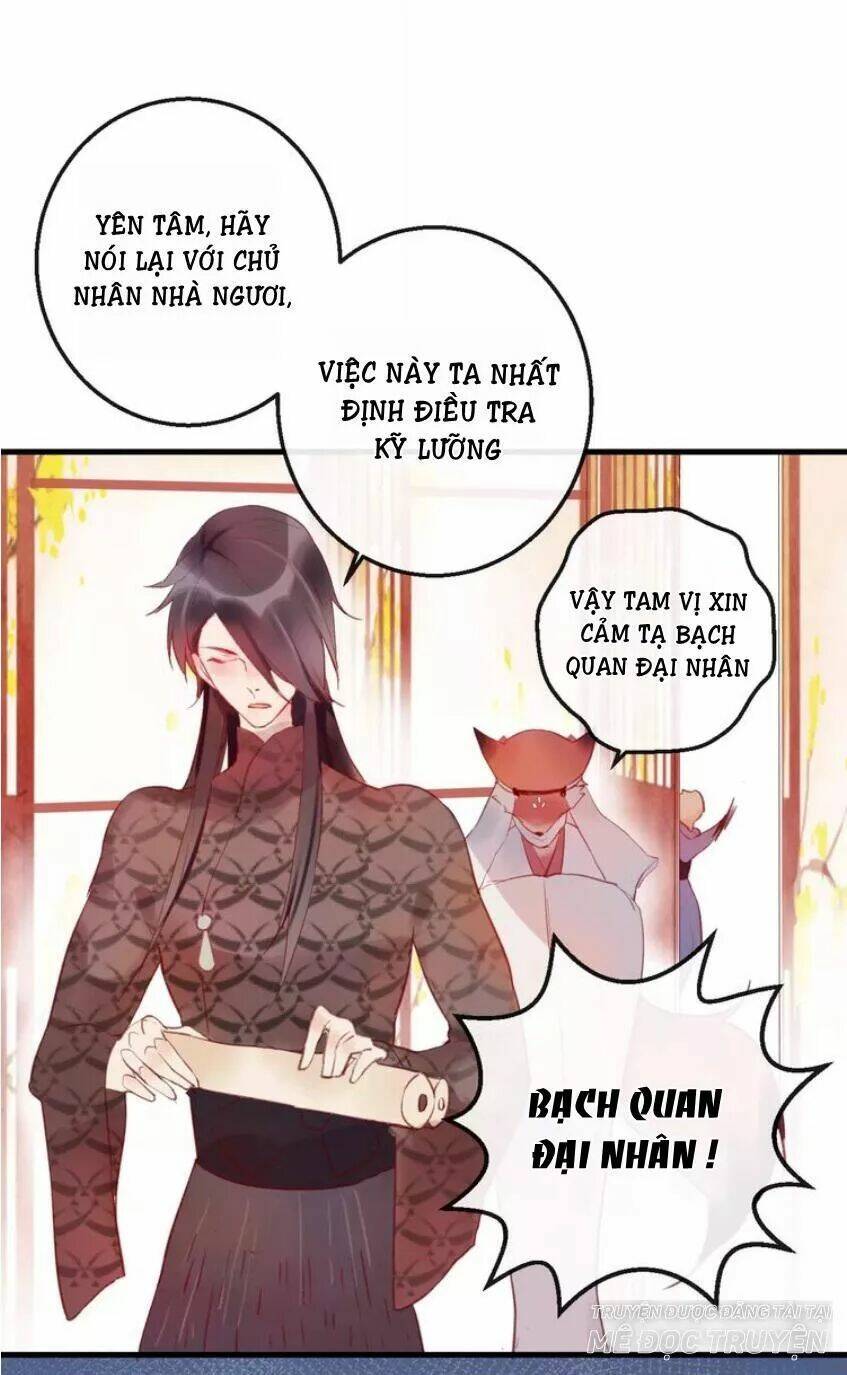 Hồ Minh Chi Hương: Chapter 5