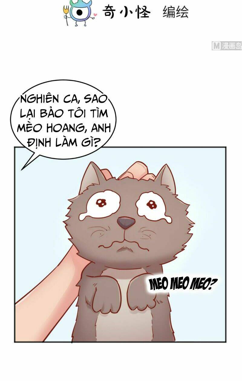 Bác Sĩ Riêng Của Nữ Thần: Chapter 45