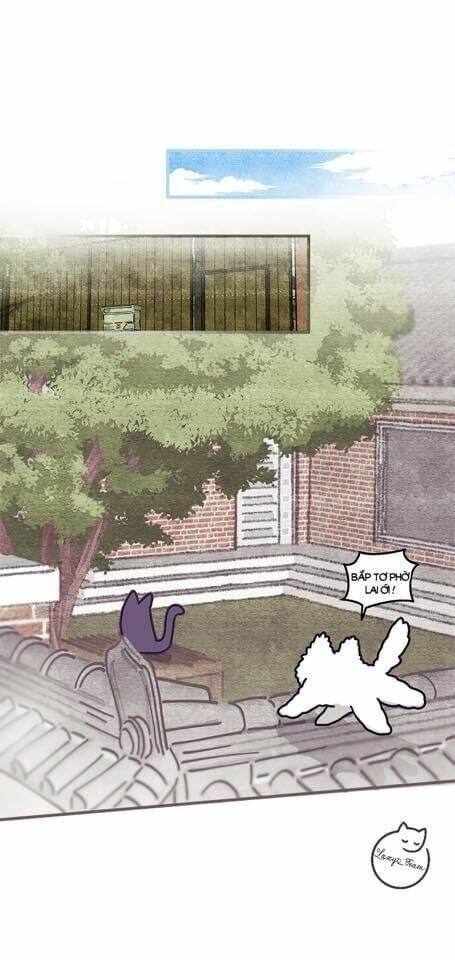 Khi Loài Mèo Làm Bá Chủ Thế Giới: Chapter 2
