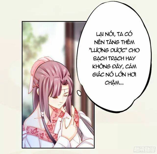 Tuyệt Thế Luyện Đan Sư: Chapter 18