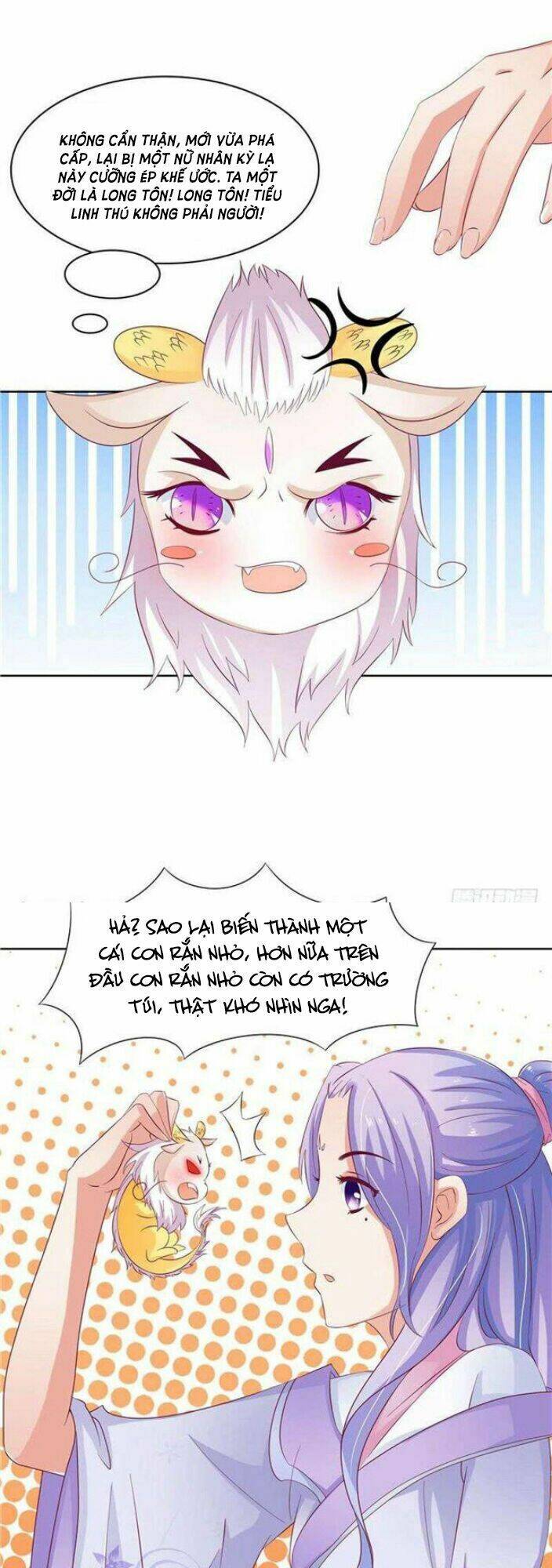 Nghịch Thiên Độc Y: Long Tôn Cầu Buông Ra: Chapter 5