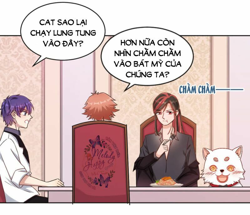 Ma Lạt Thiên Kim Đẩu Ác Thiếu: Chapter 11
