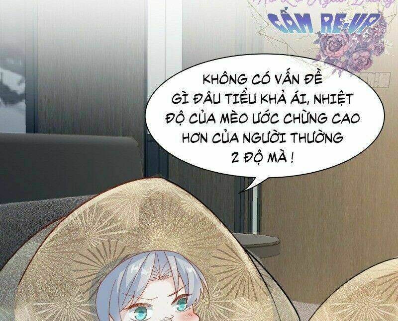 Ảnh Đế Yêu Hồ: Chapter 41