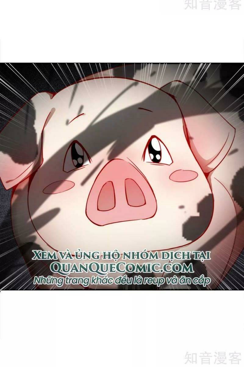 Vòng Bạn Bè Mạnh Nhất Của Tiên Giới: Chapter 4