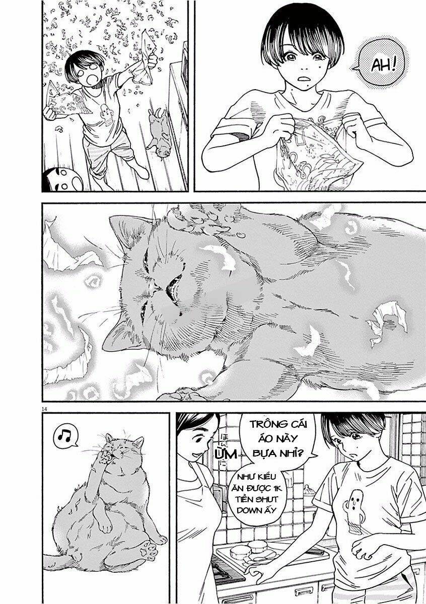 Neko No Otera No Chion-San: Chapter 37