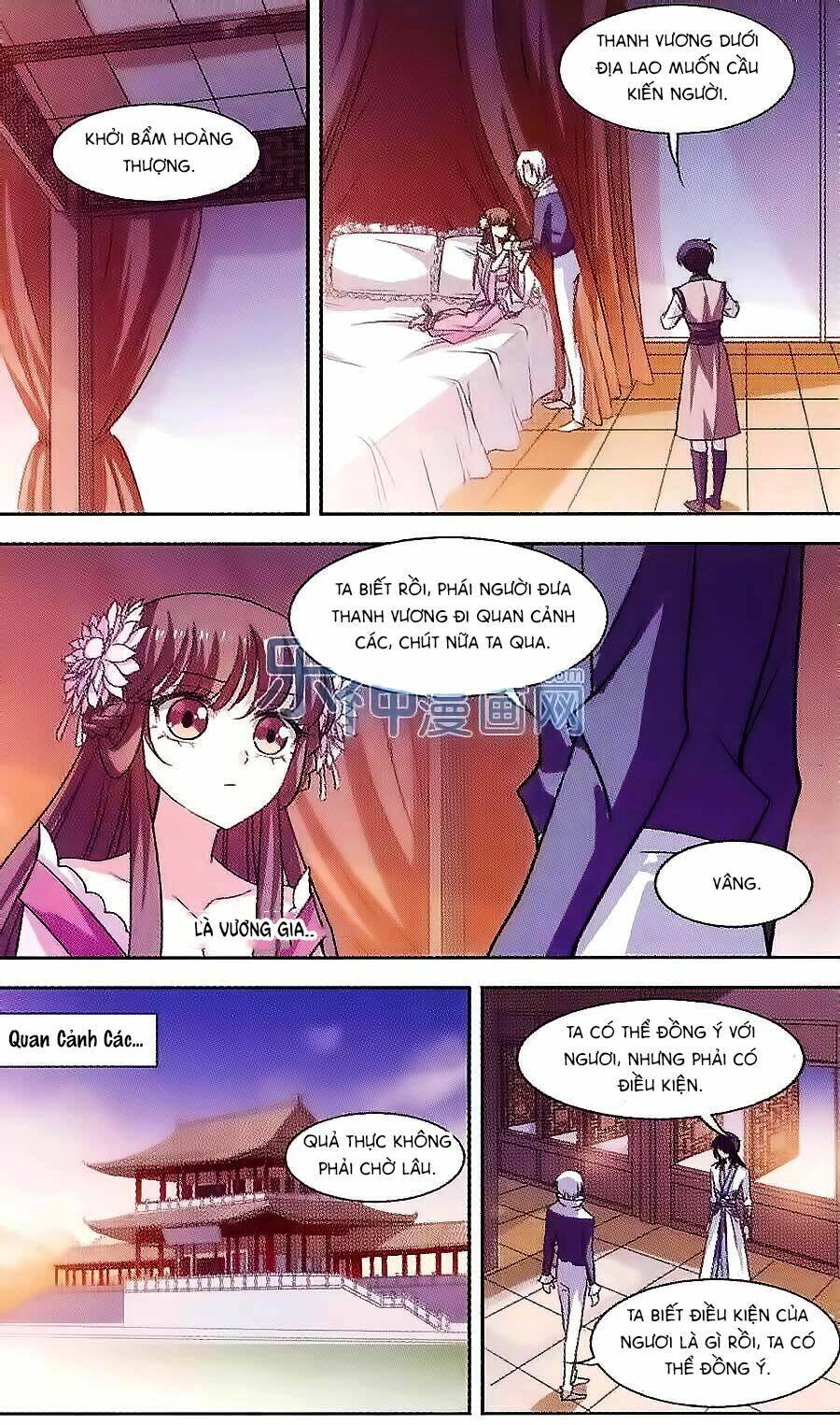 Thu Lạc Thanh Thành: Chapter 5