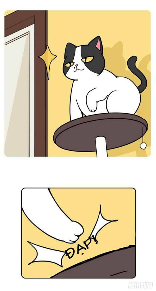 Hello Dư Tuyết Đặc: Chapter 2