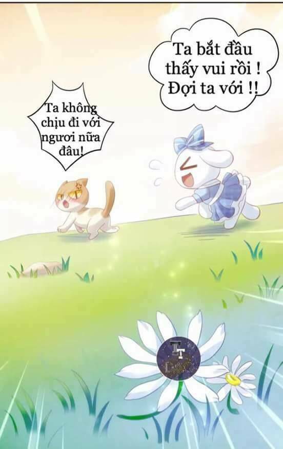 Dưới Móng Vuốt Mèo: Chapter 7