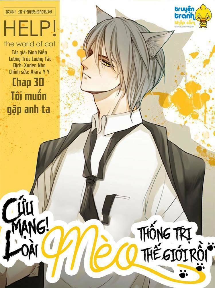 Cứu mạng ! Loài mèo thống trị thế giới rồi !: Chapter 30