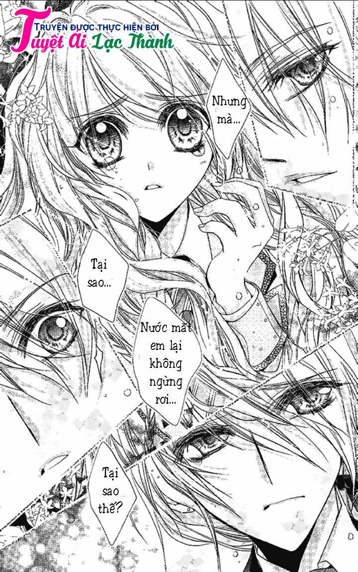 Chữ thập nhuộm máu: Chapter 8