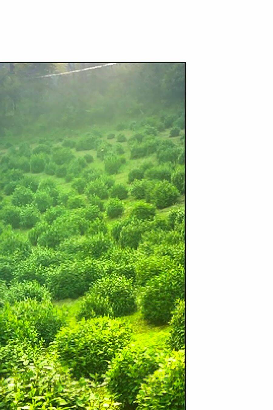 Bạn Trai Là Ngôi Sao: Chapter 72