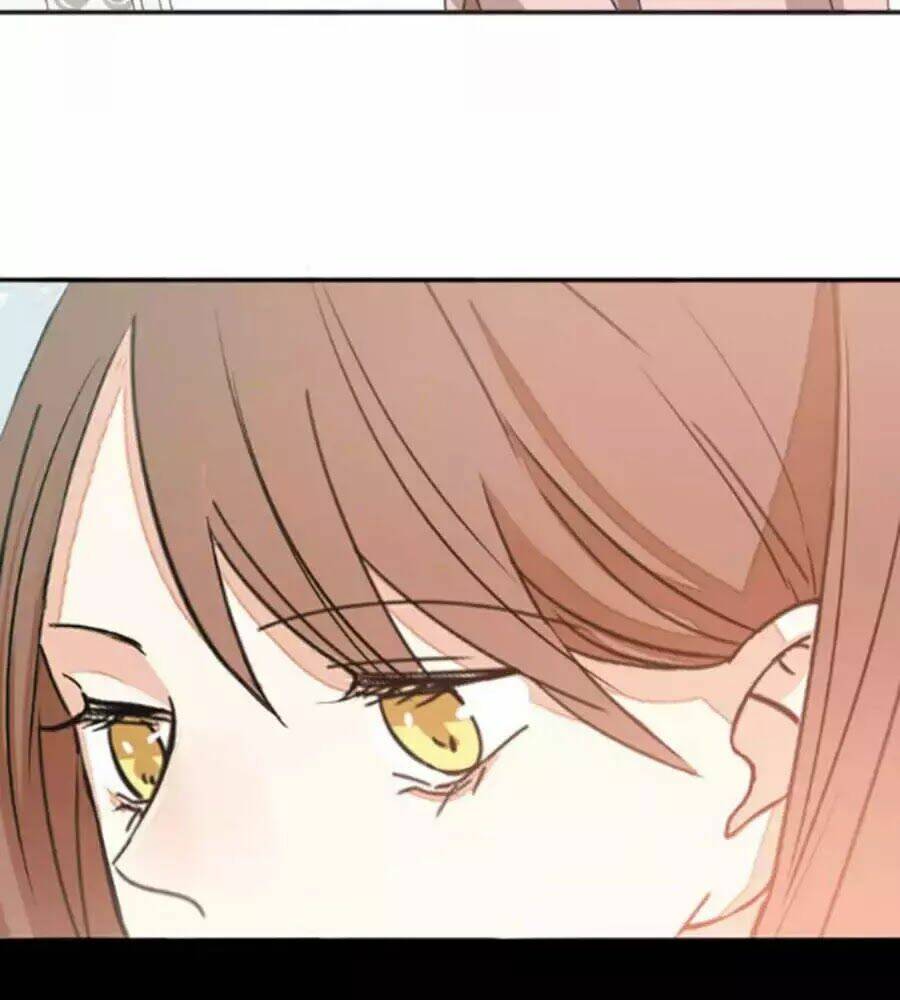 Mùi Hương Lãng Mạn: Chapter 40.5