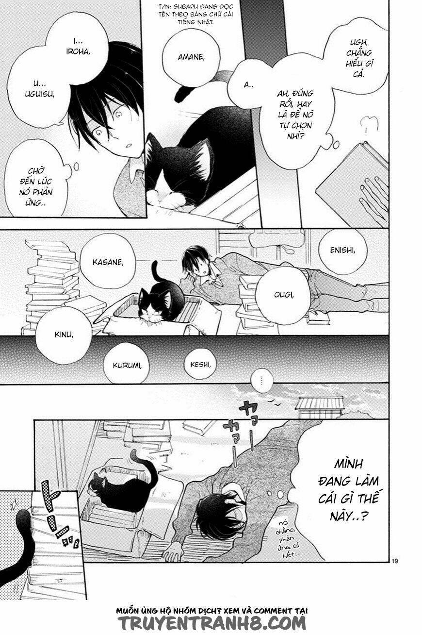 Doukyonin Wa Hiza, Tokidoki, Atama No Ue: Chapter 2