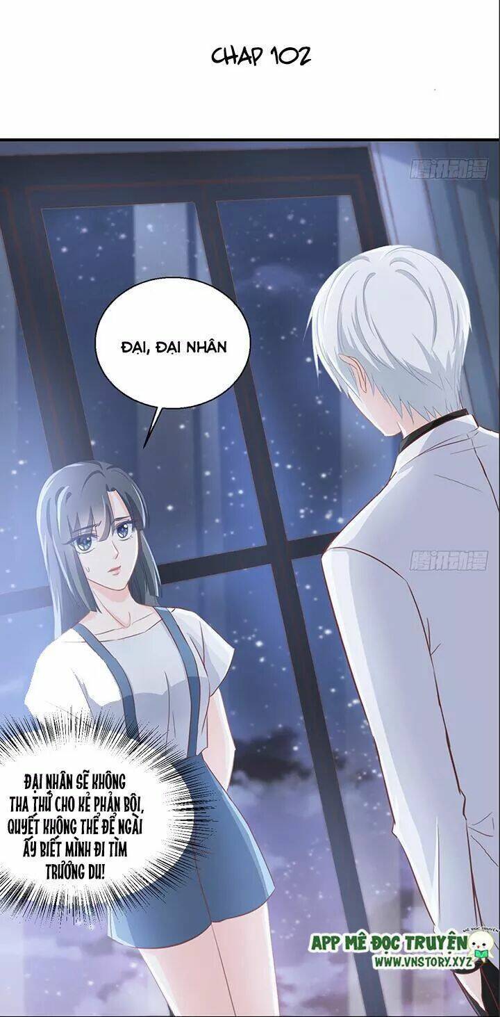 Cẩm Lý Thiếu Nữ Của Tôi: Chapter 102