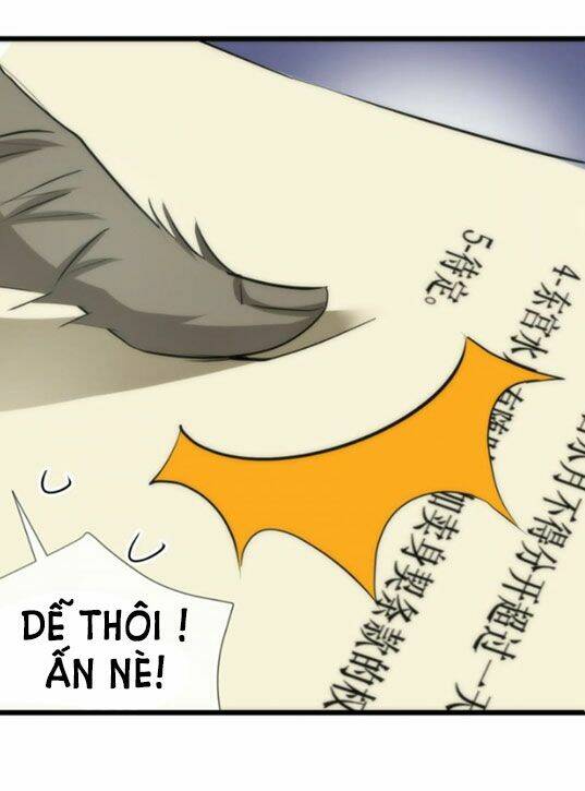 Một Vạn Tư Thế Công Lược Yêu Nam: Chapter 11