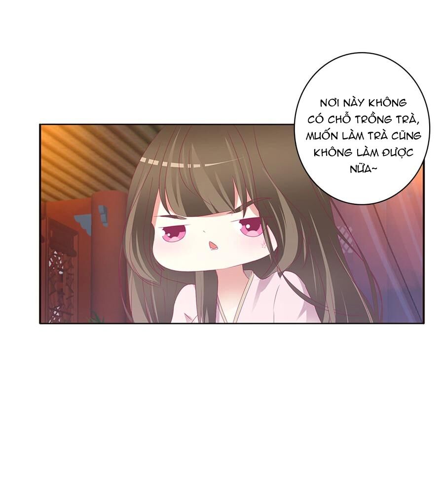Thông Linh Phi: Chapter 500