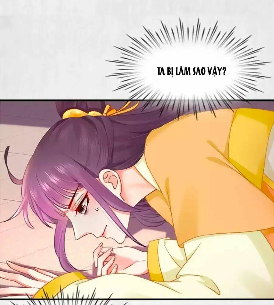 Hoạn Phi Hoàn Triều: Chapter 61