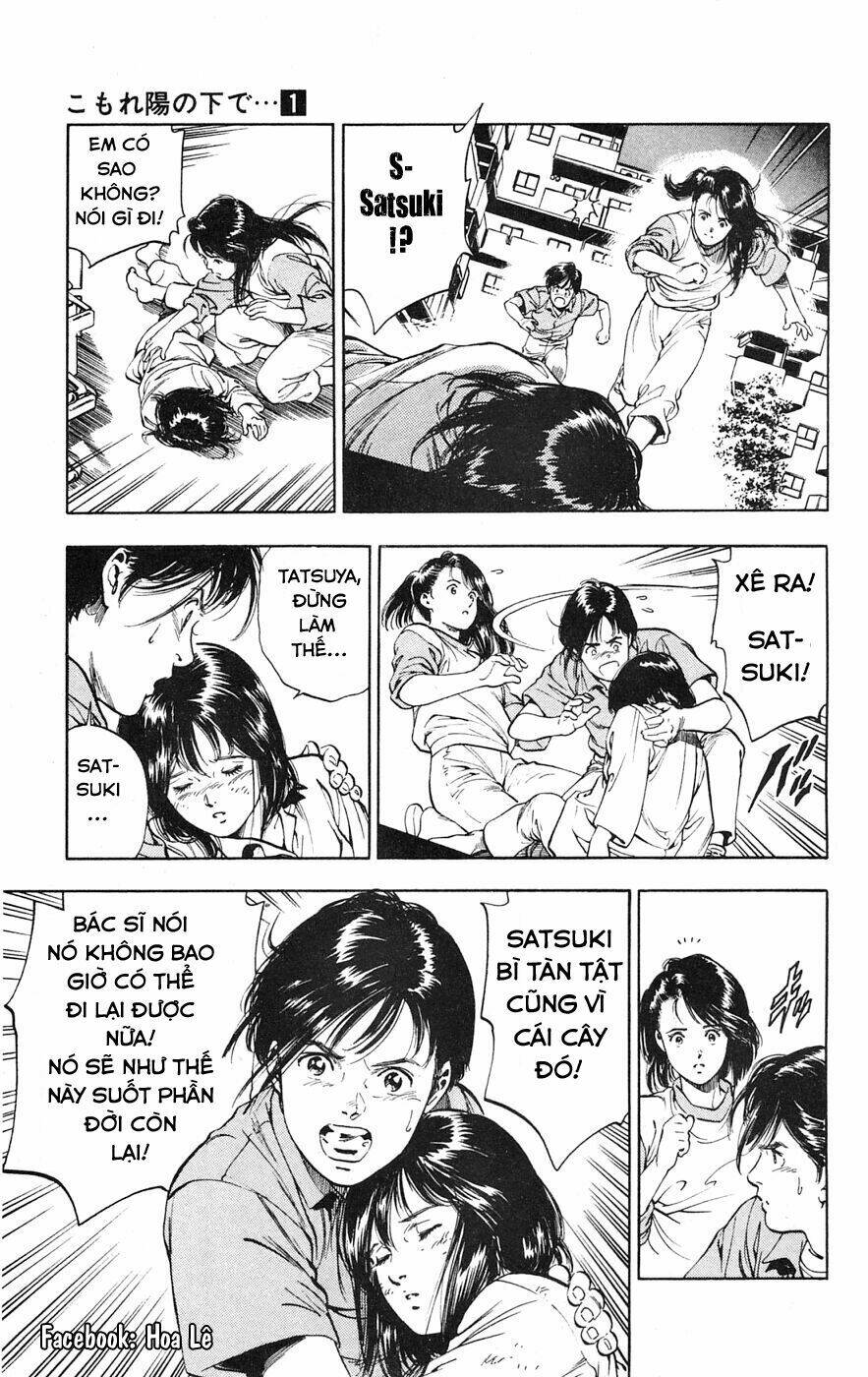Cô Bé Mặt Trời: Chapter 1