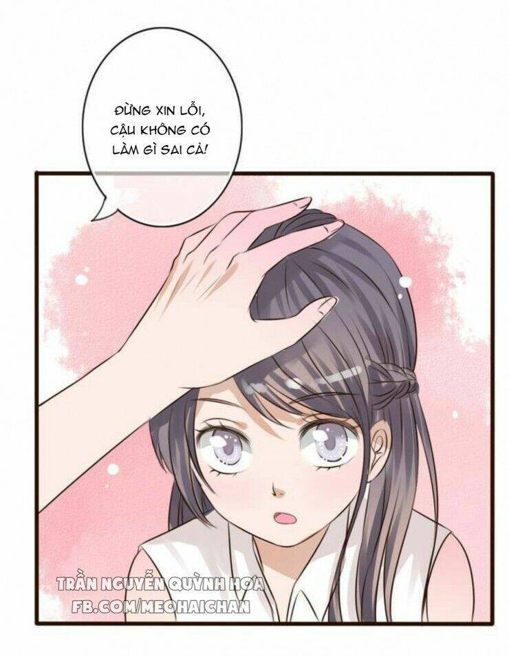 Sau Con Mưa Mùa Hạ: Chapter 5