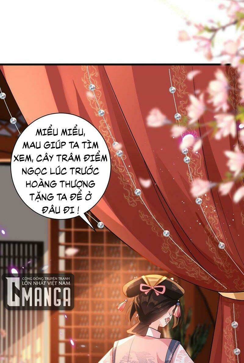 Quận Chúa Vững Vàng, Thiết Lập Nhân Vật Không Thể Vỡ: Chapter 68