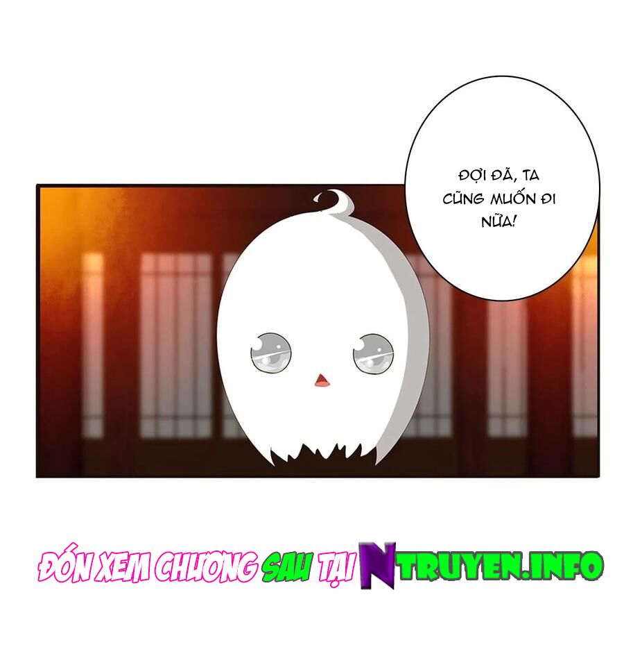 Thông Linh Phi: Chapter 623