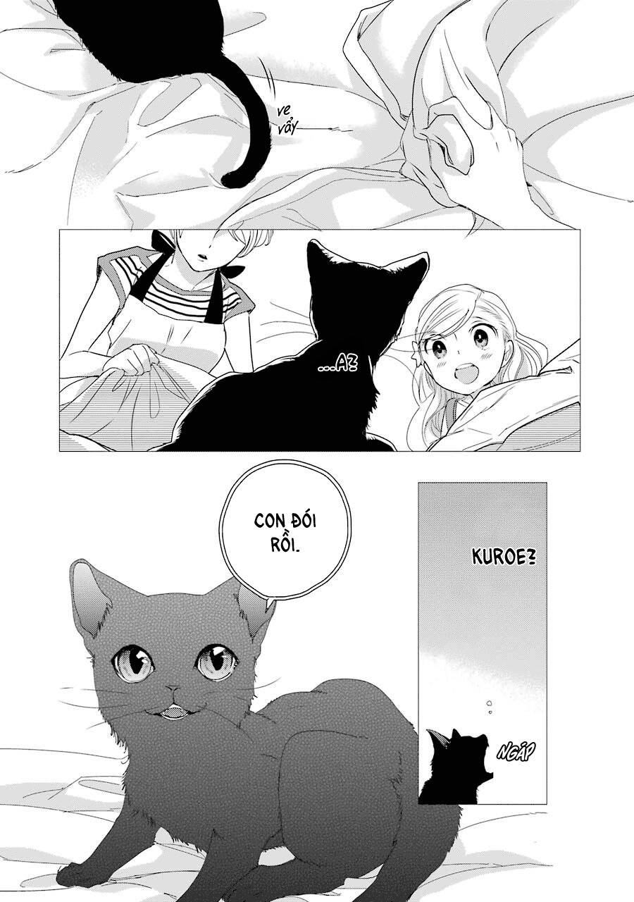 Bạn Cùng Lớp Của Shiraishi-Kun: Chapter 4