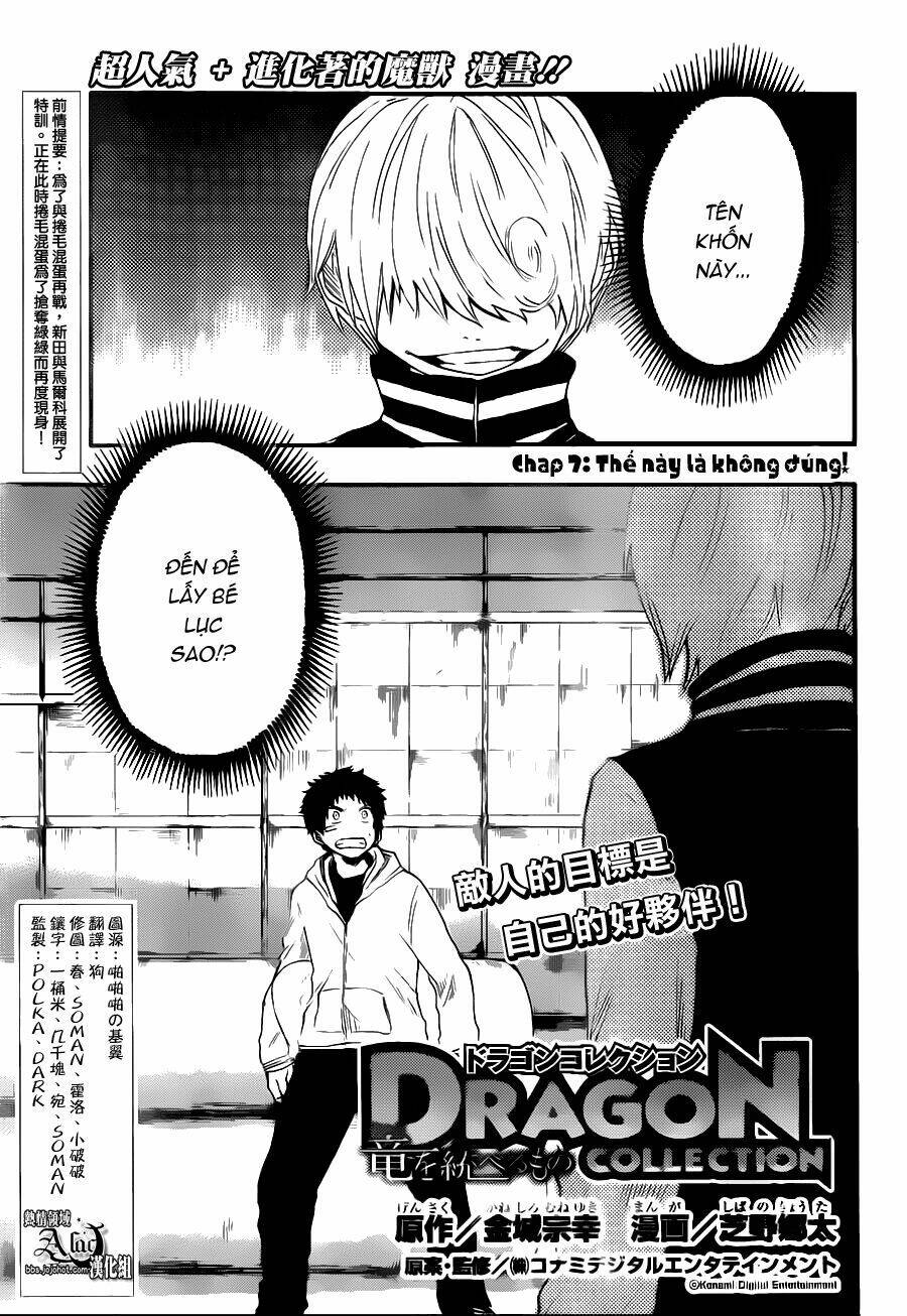 Dragon Collection: Chapter 7