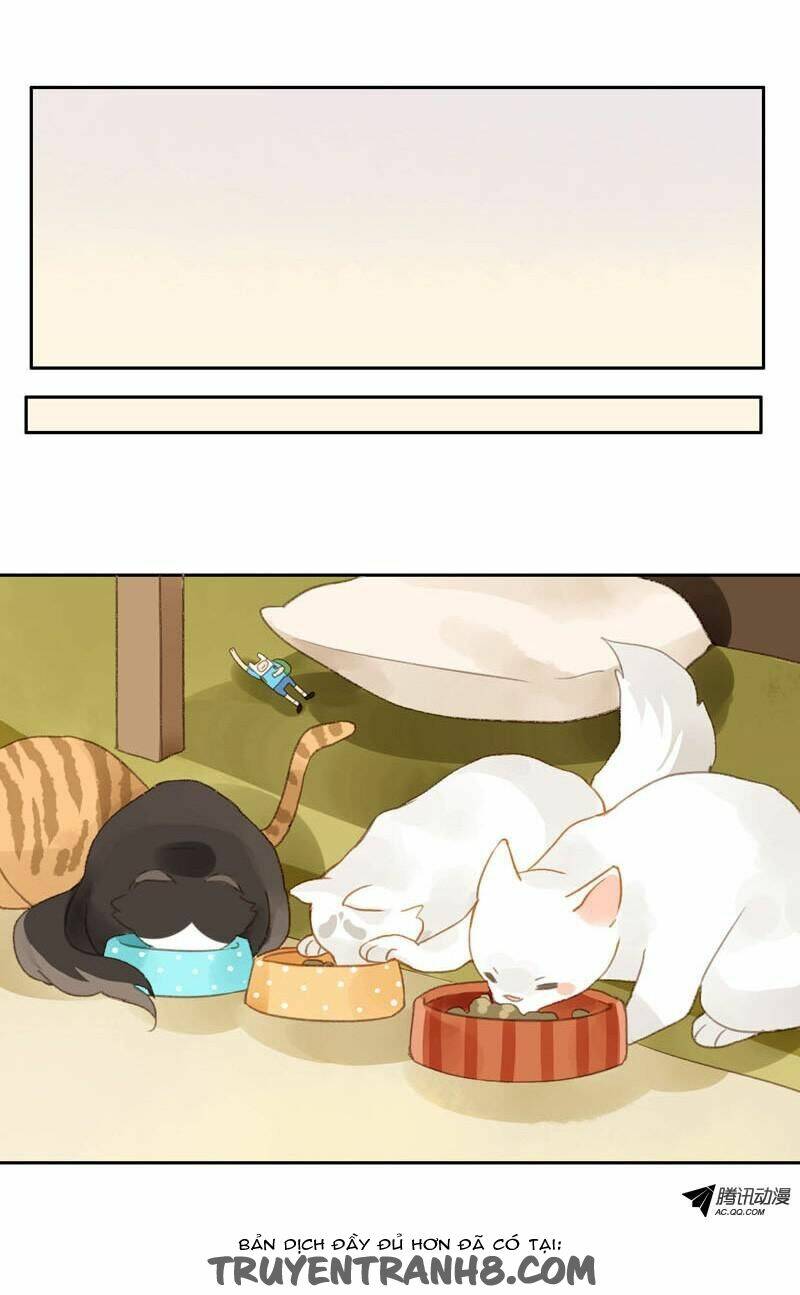 Sức Mạnh Của Sắc Đẹp: Chapter 12