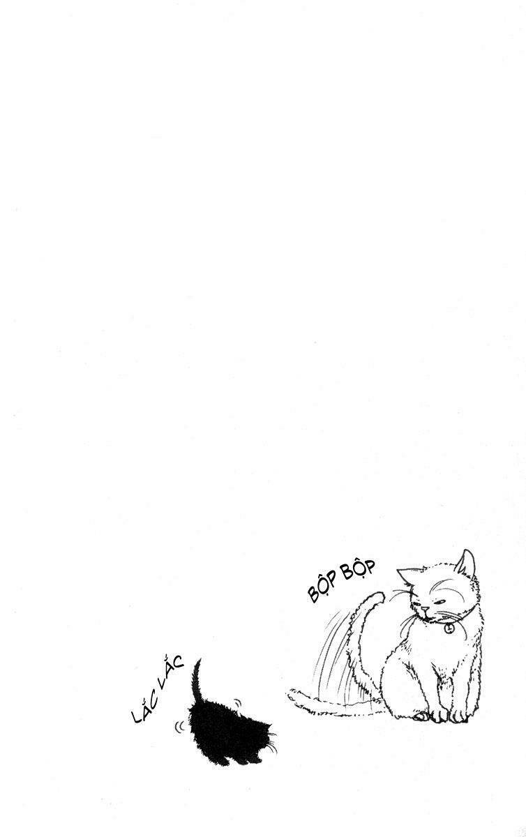 Say I Love You: Chapter 10