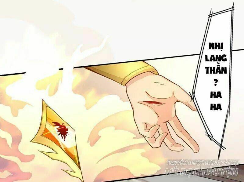Tuyệt Thế Luyện Đan Sư: Chapter 29
