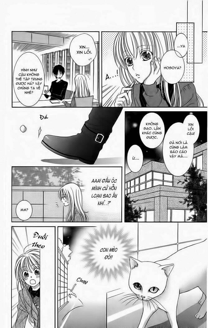 My Dear Cat: Chapter 1