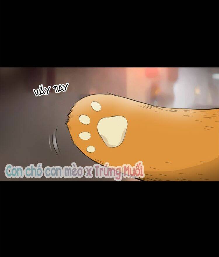 Quả Bóng Màu Vàng: Chapter 12