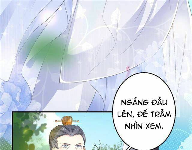 Hoa Nhan Sách: Chapter 37.1