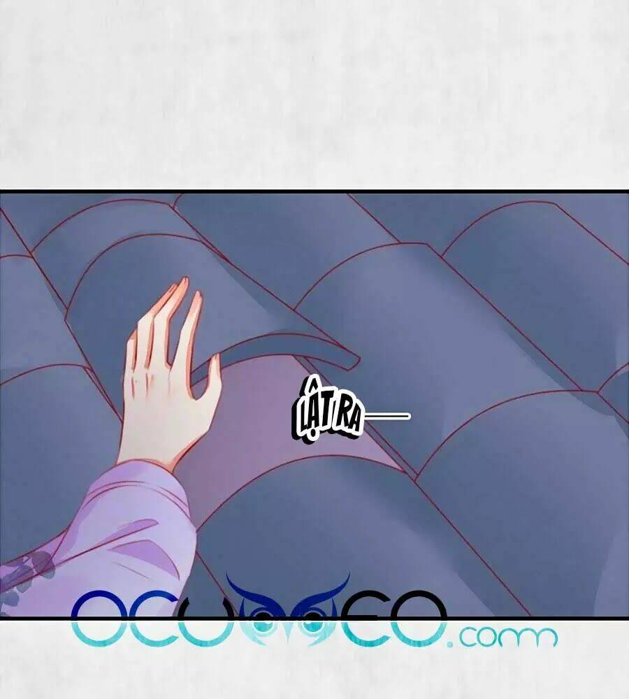 Hoạn Phi Hoàn Triều: Chapter 88