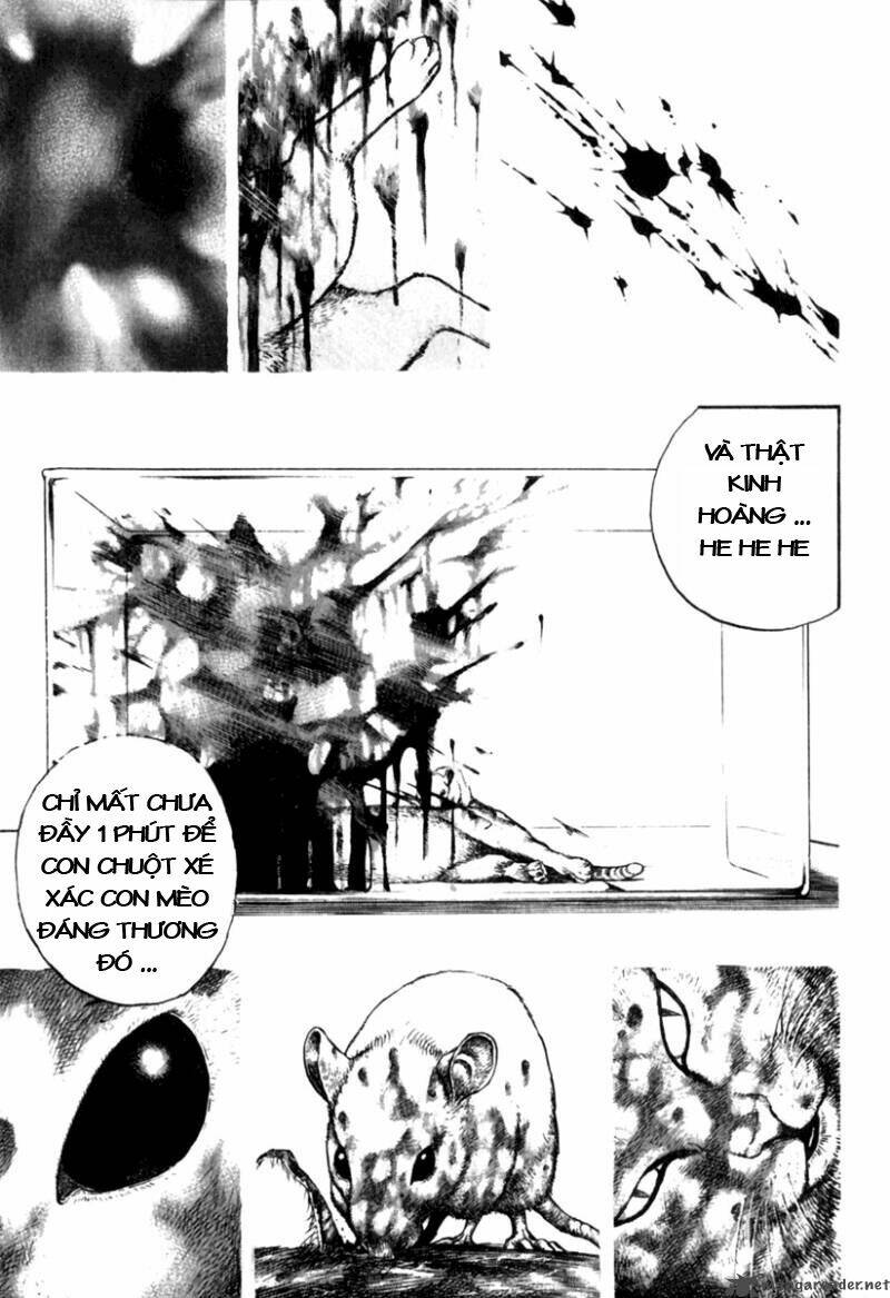 Tough - Miyazawa Kiichi: Chapter 153