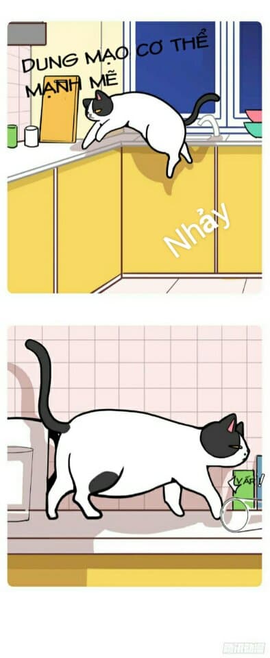 Hello Dư Tuyết Đặc: Chapter 1