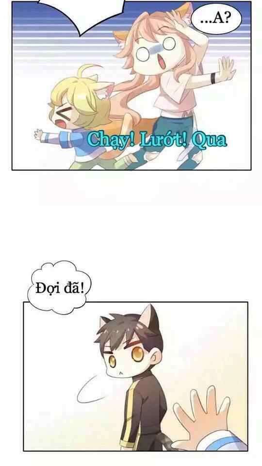 Dưới Móng Vuốt Mèo: Chapter 11