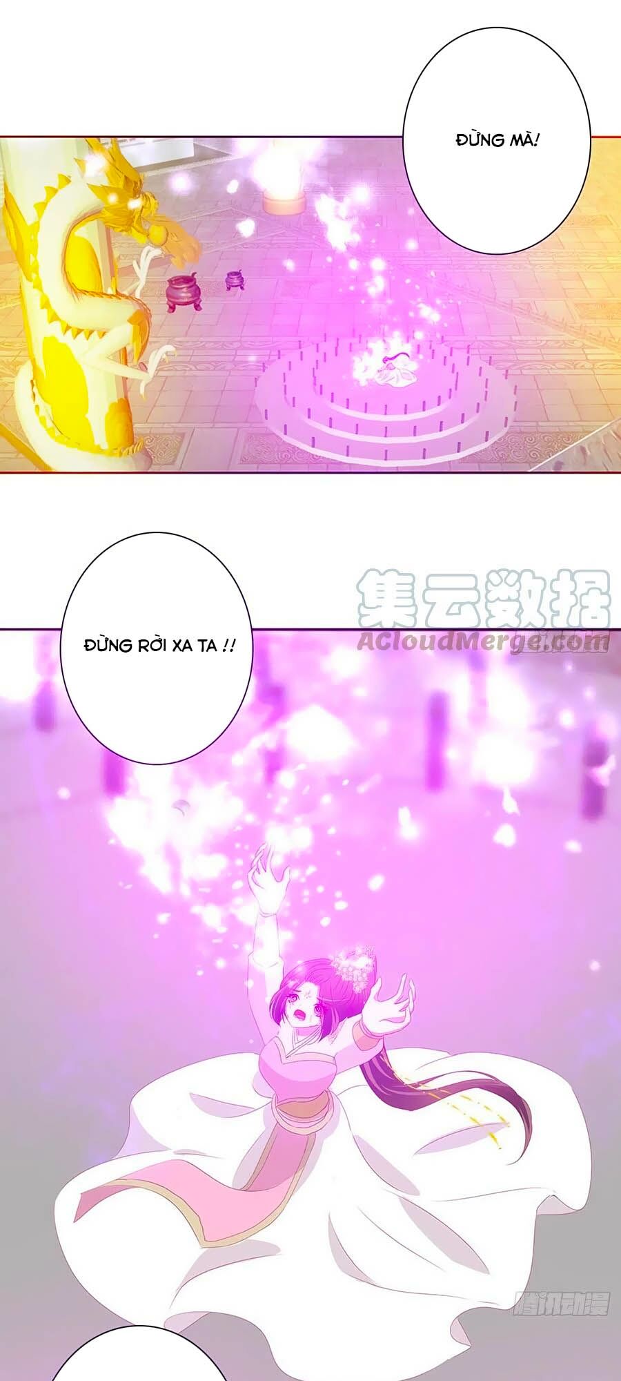 Thông Linh Phi: Chapter 684