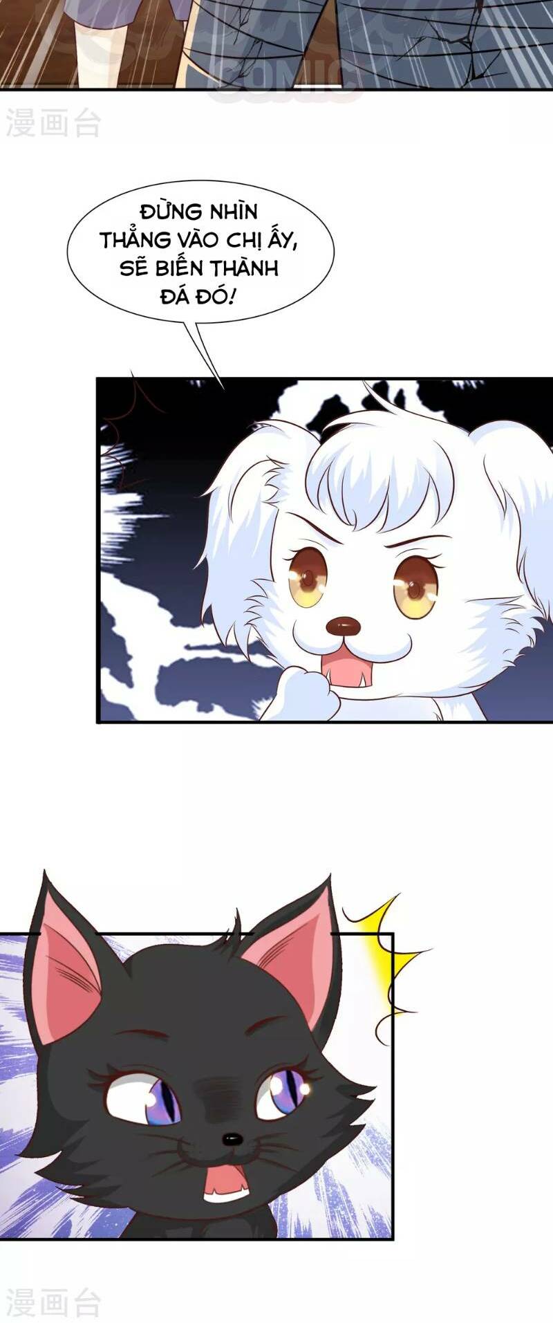 Tối Cường Vận Đào Hoa: Chapter 81