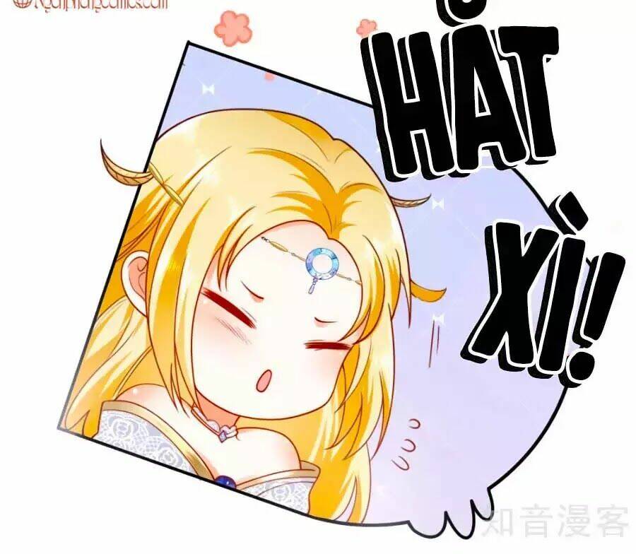 Sủng Hậu Của Vương: Chapter 19
