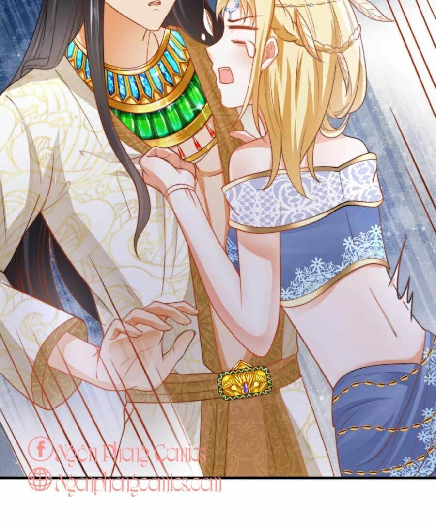 Sủng Hậu Của Vương: Chapter 24