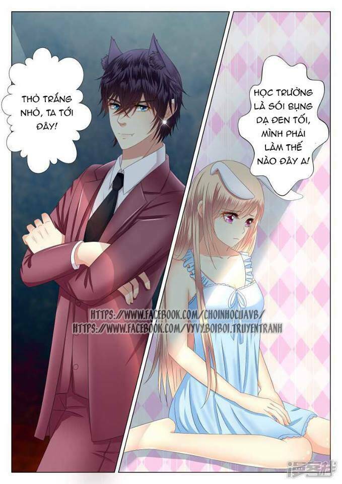 Phúc Hắc Hội Trưởng Thị Đầu Lang: Chapter 3