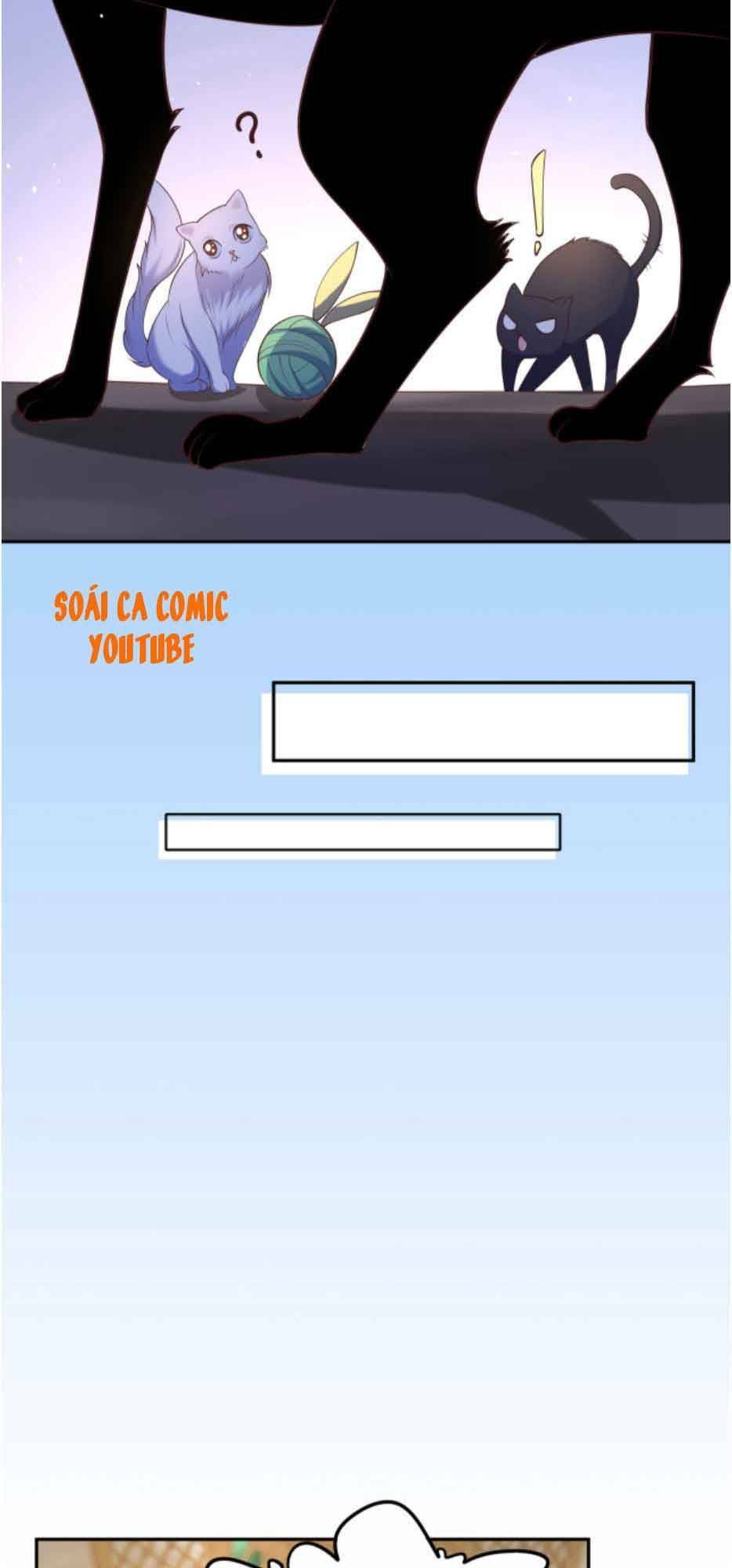 Nhất Sanh Hữu Hỉ: Chapter 33