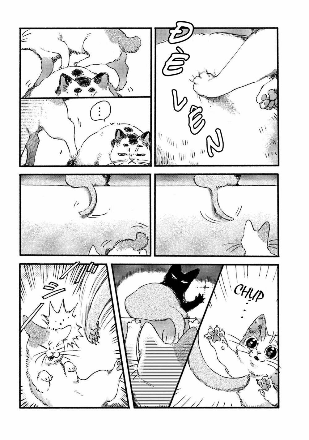 Nekodamari: Chapter 3
