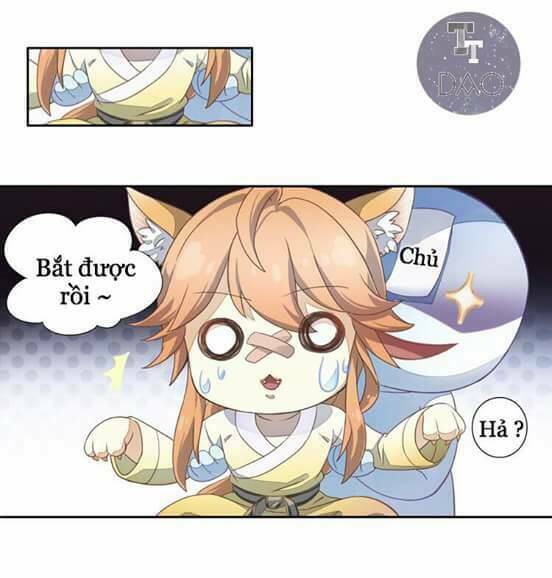 Dưới Móng Vuốt Mèo: Chapter 1