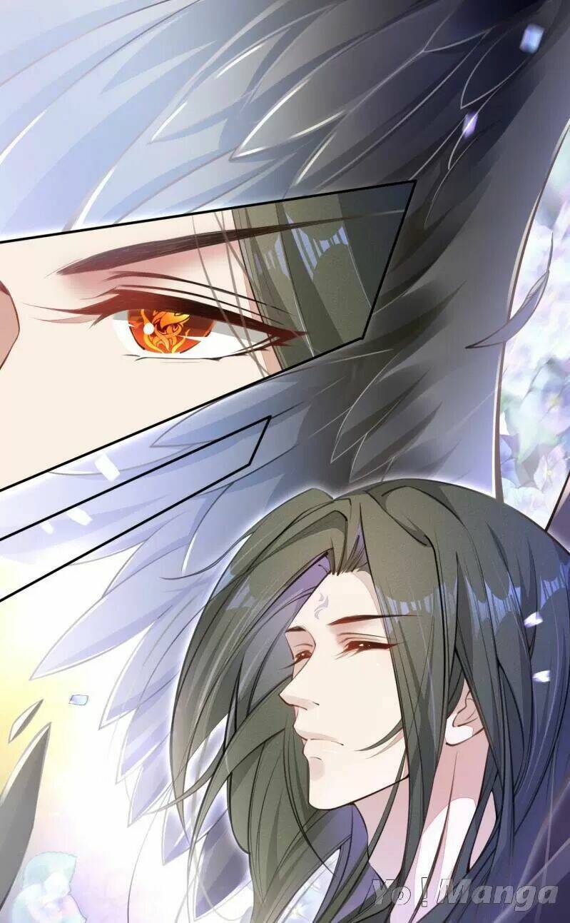 Tuyệt Thế Luyện Đan Sư: Chapter 48