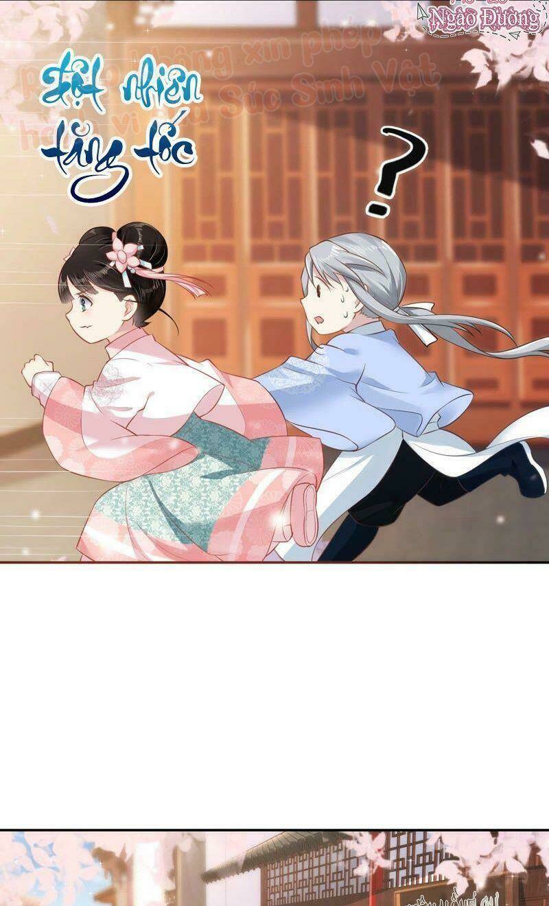 Quận Chúa Vững Vàng, Thiết Lập Nhân Vật Không Thể Vỡ: Chapter 10