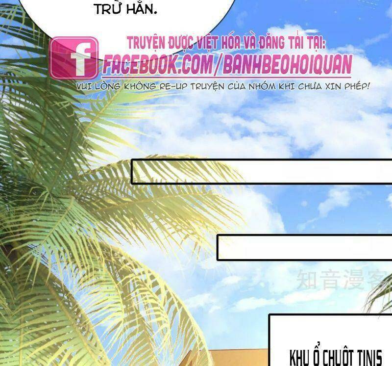 Sủng Hậu Của Vương: Chapter 57